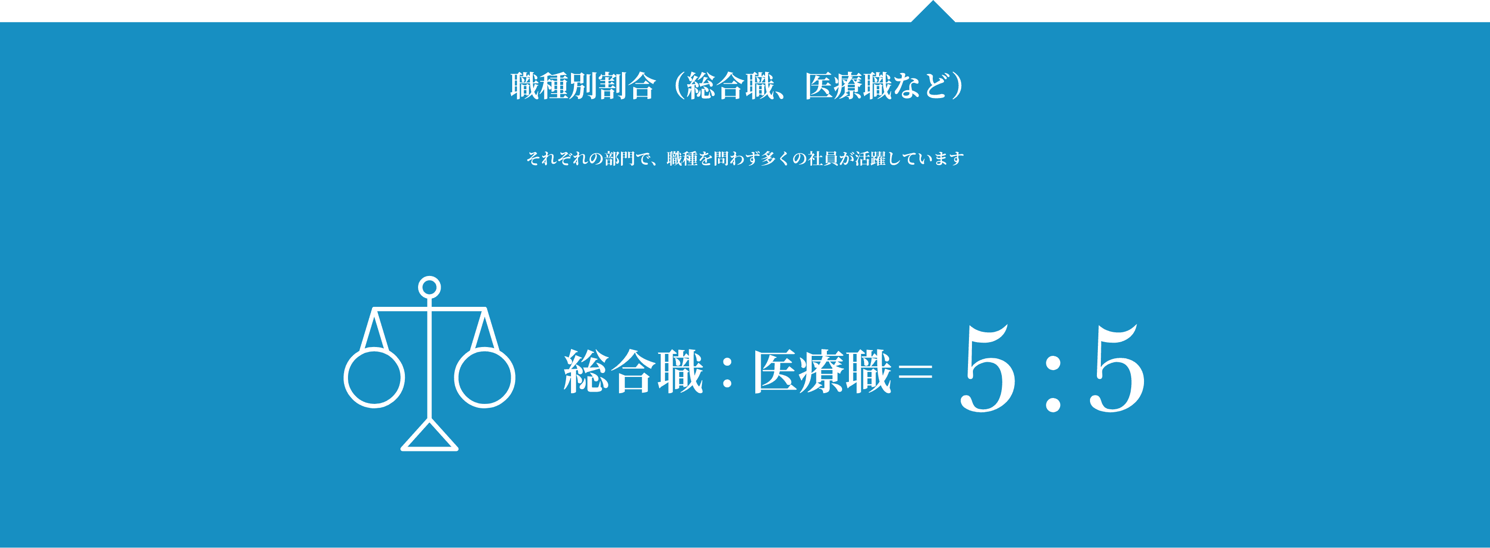 職種別割合（総合職、医療職など）