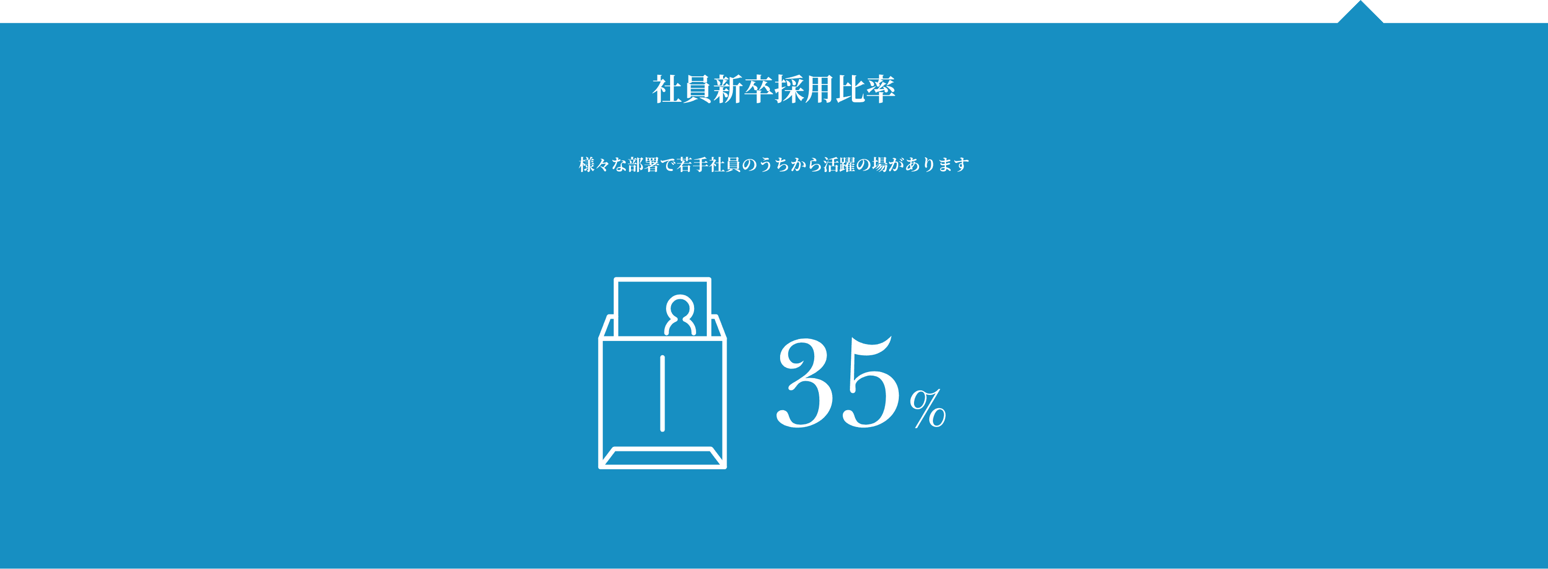 社員新卒採用比率