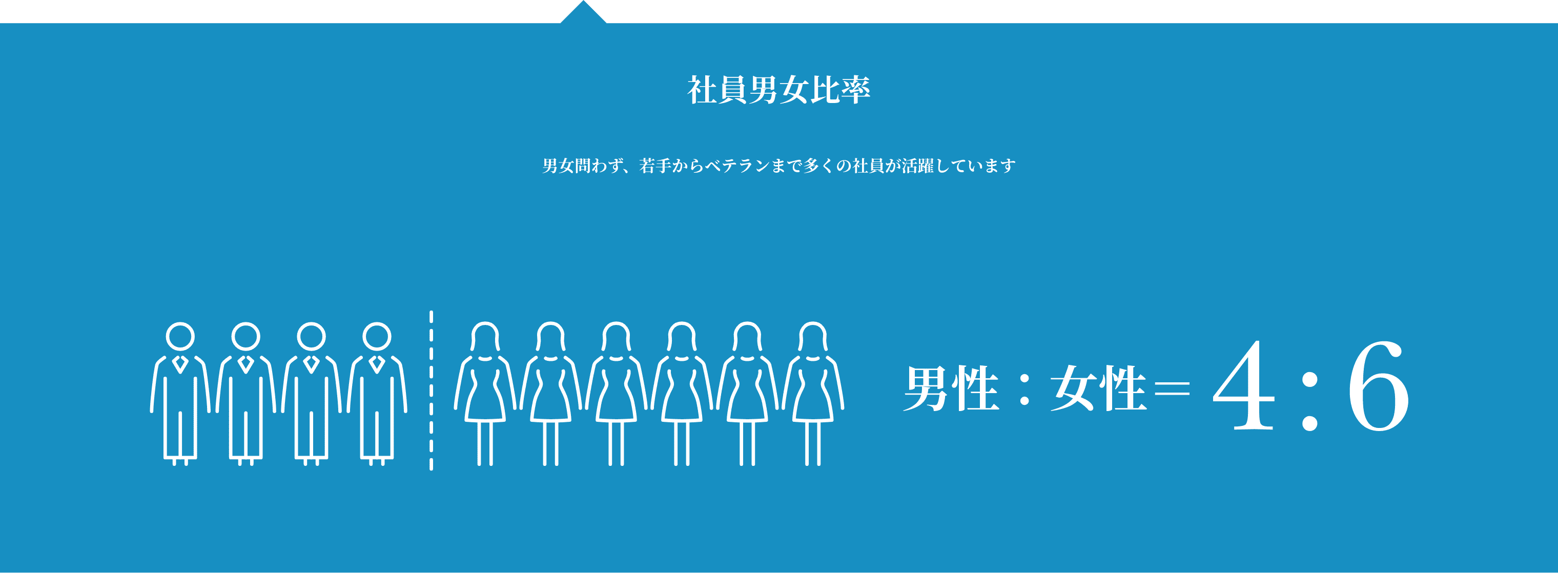 社員男女比率