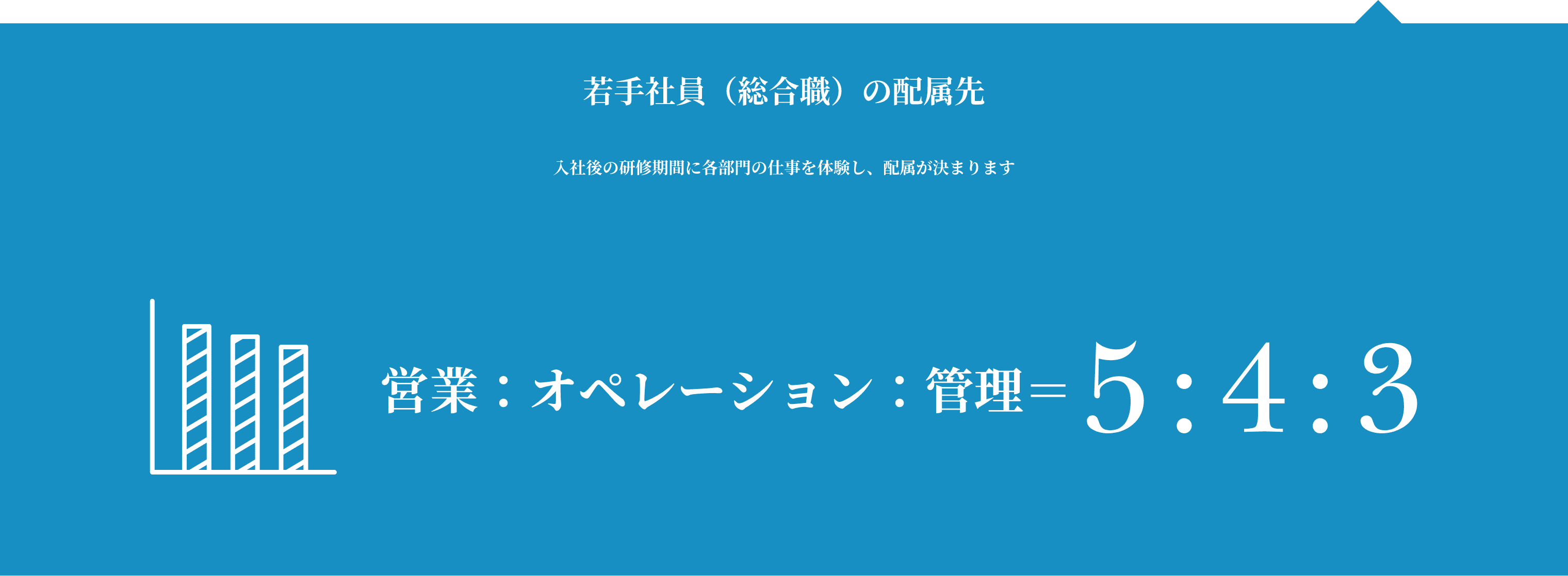 若手社員（総合職）の配属先